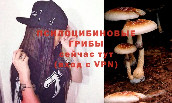 mdpv Корсаков
