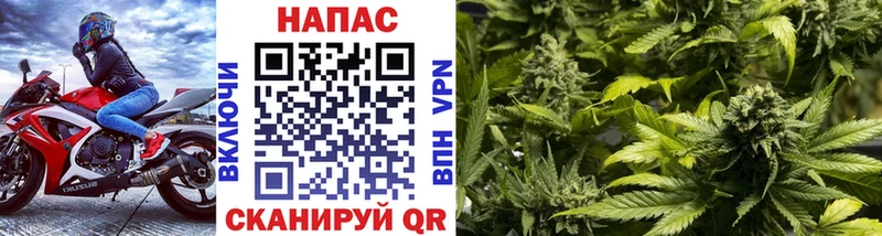 Бошки марихуана Bruce Banner  Купить где  Костомукша 
